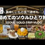 sub【韓国旅行Vlog】初めてのソウルひとり旅 / 定番&人気&新しいスポットをめぐる4日間 / Korea Seoul trip 4days